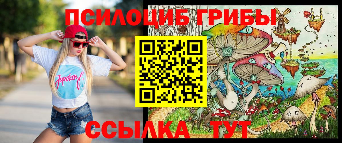 Галлюциногенные грибы мицелий  Вход с VPN  Котельники 