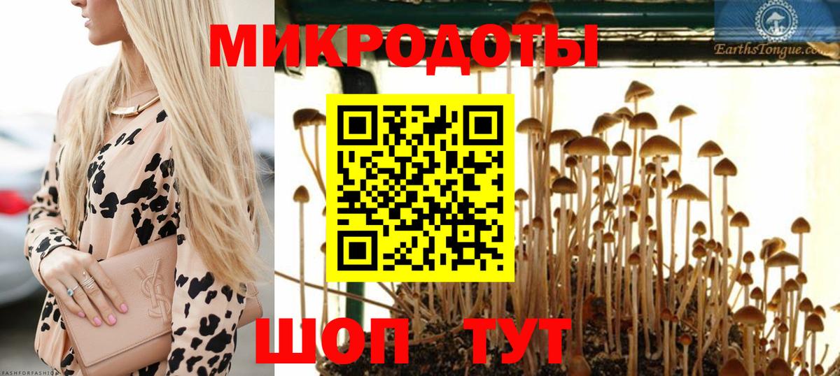 Псилоцибиновые грибы мухоморы Котельники
